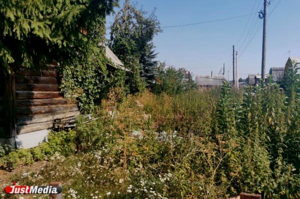 Объем финансовой поддержки коллективных садов Екатеринбурга увеличат до 12 миллионов рублей - Фото 4