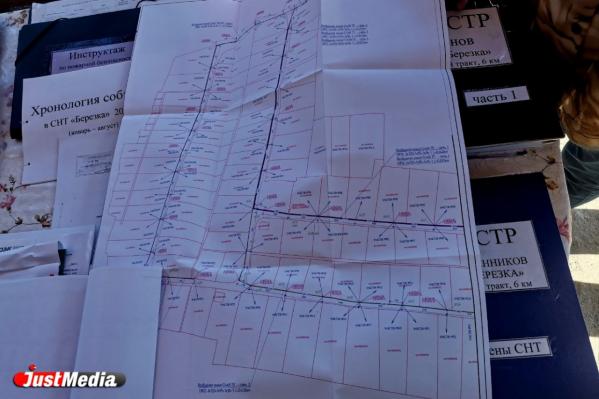 Объем финансовой поддержки коллективных садов Екатеринбурга увеличат до 12 миллионов рублей - Фото 5