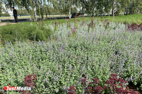 Тропа любви, тайный сад, и лечебные травы для души. Гайд по самым эстетичным зеленым зонам Екатеринбурга - Фото 3