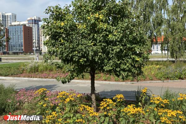 Тропа любви, тайный сад, и лечебные травы для души. Гайд по самым эстетичным зеленым зонам Екатеринбурга - Фото 5