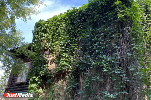 Тропа любви, тайный сад, и лечебные травы для души. Гайд по самым эстетичным зеленым зонам Екатеринбурга - Фото 6