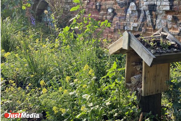Тропа любви, тайный сад, и лечебные травы для души. Гайд по самым эстетичным зеленым зонам Екатеринбурга - Фото 13