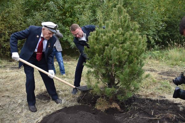 Легендарный 95-летний ветеран посадил кедры и сосны в Екатеринбурге. Мужчина проводит эко-акции по России и миру - Фото 2