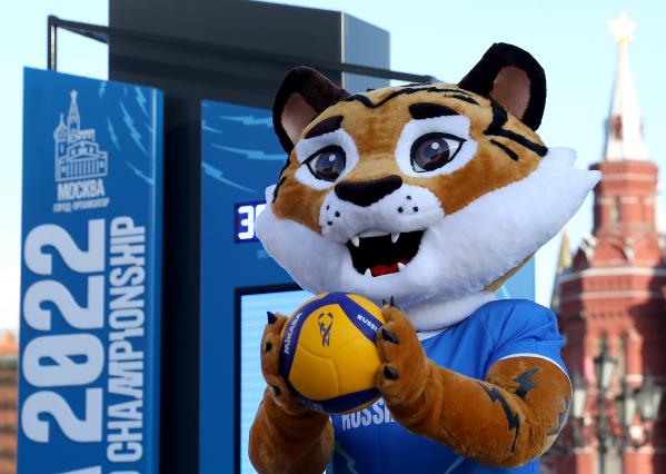 Тигр стал официальным талисманом Чемпионата мира по волейболу 2022, который пройдет в Екатеринбурге  - Фото 2