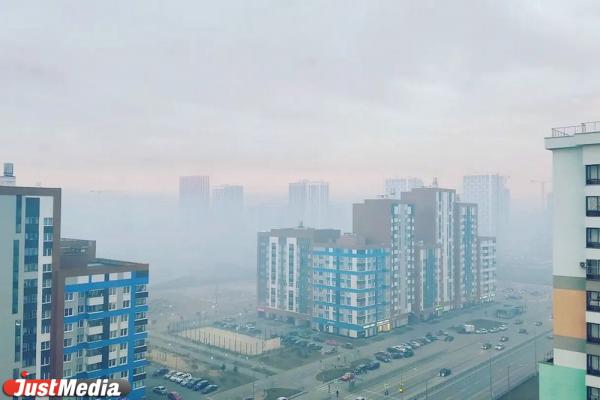 МЧС локализовало пожар на торфянике на юге Екатеринбурга - Фото 2