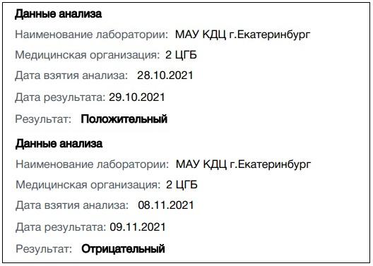 Семья из Екатеринбурга, переболевшая коронавирусом, не может получить Q-коды - Фото 2