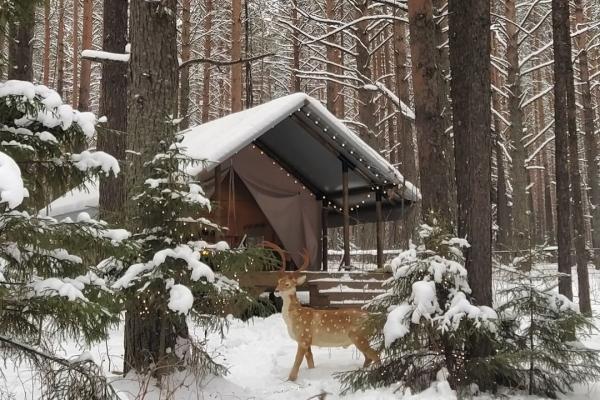 Расслабляемся в бане, катаемся на лыжах, гуляем по лесу и греемся у камина. Знакомимся с Топ-7 глэмпингов Свердловской области - Фото 5