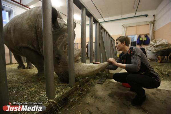 Елена Федотова, артистка: «В нашем городе началась зима, но на улице очень тепло». В Екатеринбурге -1 градус - Фото 4