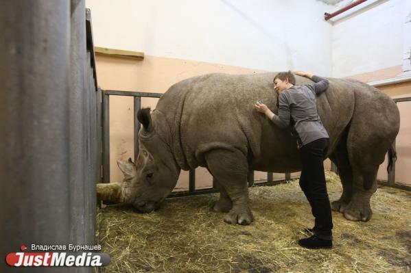 Елена Федотова, артистка: «В нашем городе началась зима, но на улице очень тепло». В Екатеринбурге -1 градус - Фото 6