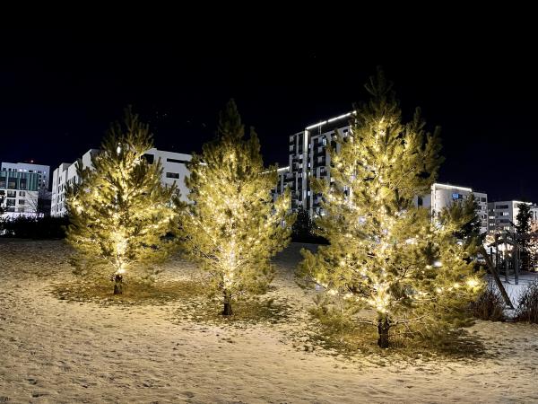 Шторы из гирлянд, светящиеся олени и качель-кольцо. Смотрим, как украшают свои территории ЖК Екатеринбурга - Фото 4