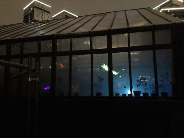 Фестиваль «НЕ ТЕМНО» прошел скромно и без удивлений - Фото 3