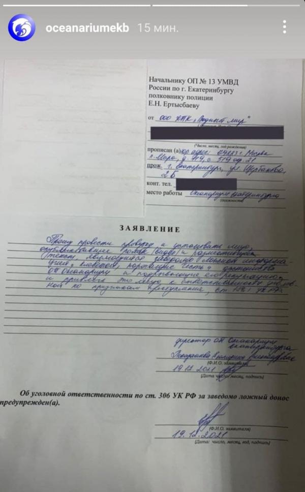 Океанариум Екатеринбурга обратился в полицию с просьбой установить авторов видео с «избиением» дельфинов - Фото 2