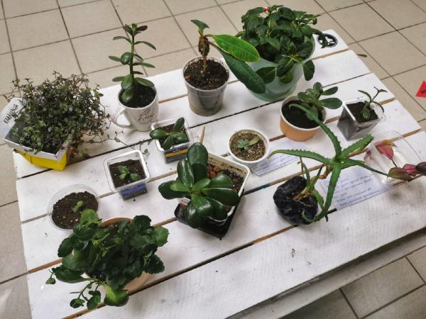 Арт-объект «Призрак Леса», спектакль о ТикТоке и воркшопы о телесности - Фото 8