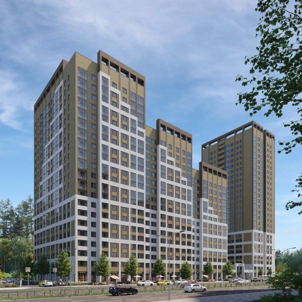 Владелец земельного участка в Академическом рассказал, для чего вырубил сосновый лес - Фото 2