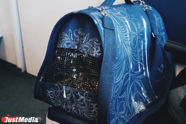 Катаемся на «Хогвартс-Экспрессе» в Екатеринбурге. Что предлагают большим и маленьким фанатам Гарри Поттера за 2 500 рублей - Фото 8