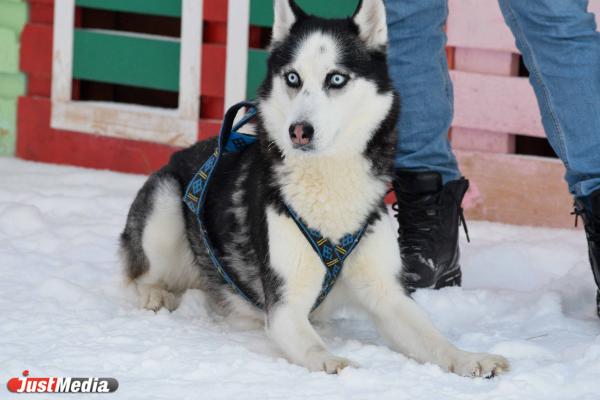 Надежда Митасова, специалист пресс-службы: «Зима – это отличная возможность похудеть к лету». В Екатеринбурге -3 градуса - Фото 8
