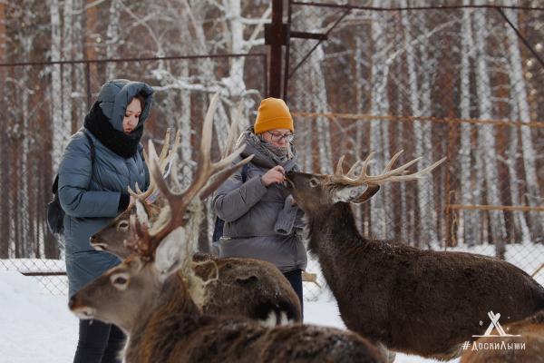 ТОП-8 мест на Урале, где можно пообщаться с животными - Фото 2