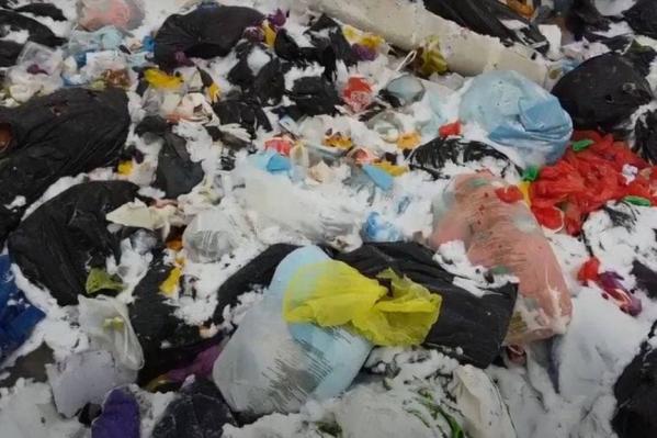 Свердловское отделение РЭО пожаловалось в прокуратуру на фирмы, выбрасывающие на полигон опасные медицинские отходы - Фото 2