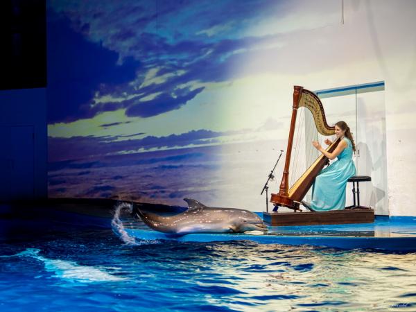 В Екатеринбурге полярные киты и дельфины стали гостями арфового концерта Баха  - Фото 2