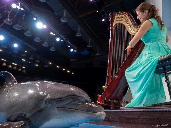 В Екатеринбурге полярные киты и дельфины стали гостями арфового концерта Баха  - Фото 6