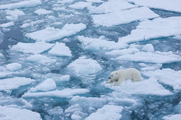 Айгуль Хуснутдинова, менеджер проектов: «Многие думают, что на Северном полюсе очень холодно. Но это не так!». А в Екатеринбурге +2    - Фото 5