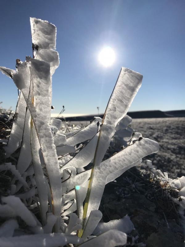 Дуня Мурашкина, дизайнер: «Весна и горы — что может быть лучше?». В Екатеринбурге +2	 - Фото 2