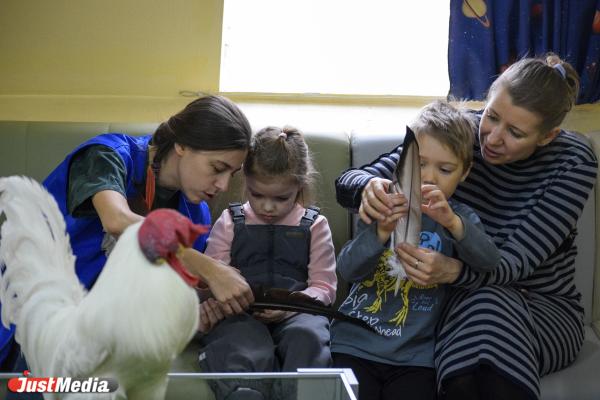 Анималотерапия: как в Екатеринбургском зоопарке животные помогают детям и снимают стресс взрослым - Фото 6