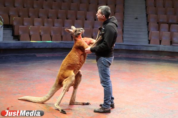 Иван Дефорж, дрессировщик: «Лето, скорее приходи!» В Екатеринбурге +15 градусов - Фото 4