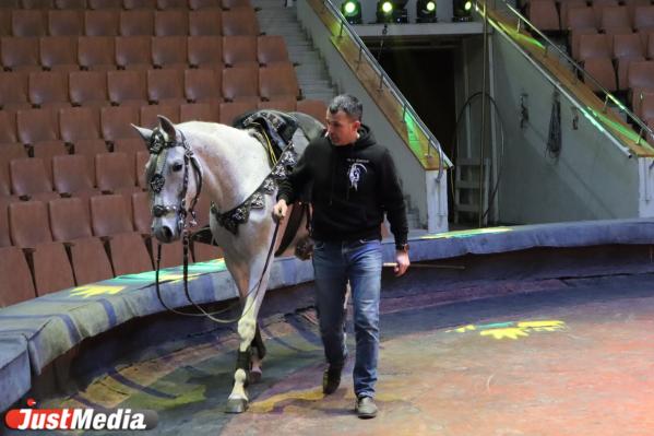 Иван Дефорж, дрессировщик: «Лето, скорее приходи!» В Екатеринбурге +15 градусов - Фото 6
