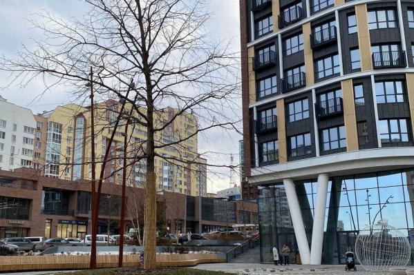 Игорь Поворознюк, pr-директор: «Желаю всем солнечной погоды» В Екатеринбурге +5 градусов - Фото 5