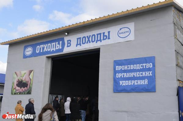 Под Верхней Пышмой создают безотходную молочную ферму - Фото 3