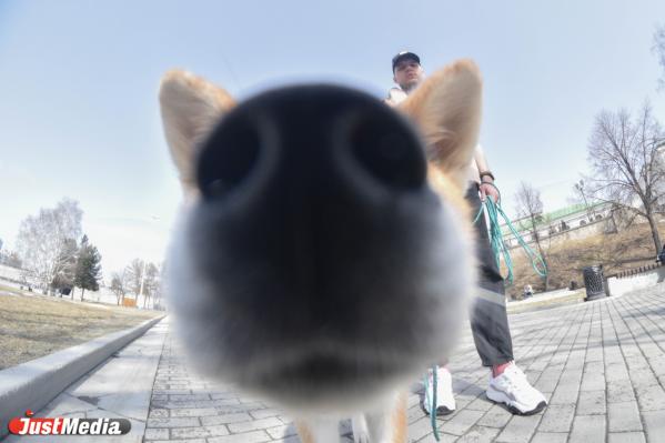 Дмитрий Яковлев, ведущий мероприятий: «Наконец-то наступила весна». В Екатеринбурге +3 градуса - Фото 2