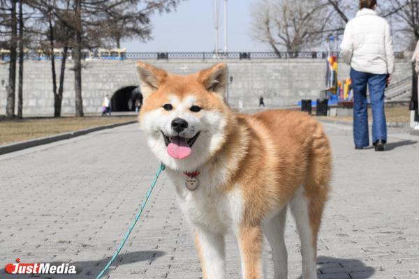 Дмитрий Яковлев, ведущий мероприятий: «Наконец-то наступила весна». В Екатеринбурге +3 градуса - Фото 5