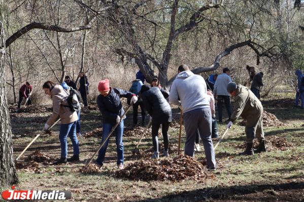 В Екатеринбурге прошел традиционный субботник в Дендропарке - Фото 3