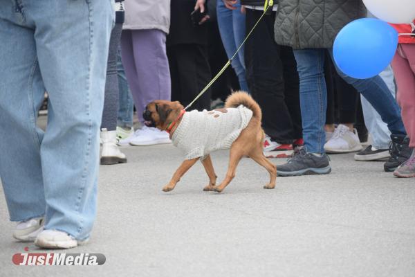 В Екатеринбурге завершилась первомайская демонстрация - Фото 3