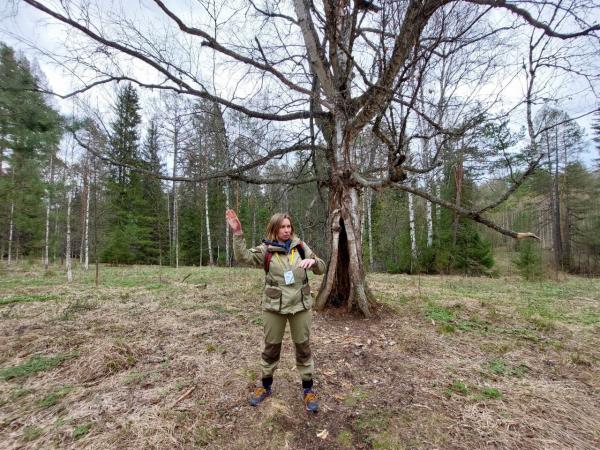 Отправляемся на «Орлане» в релакс-путешествие по «Оленьим ручьям» - Фото 9