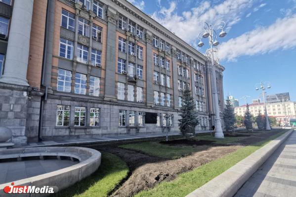 В центре Екатеринбурга посадили голубые ели из Казани - Фото 2