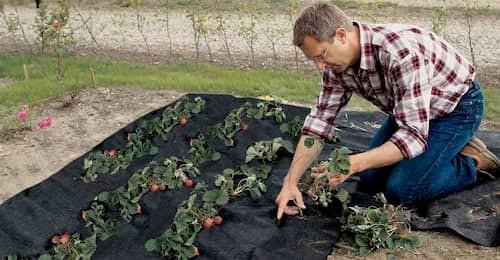 Геотекстиль: что это, виды и назначение - Фото 4