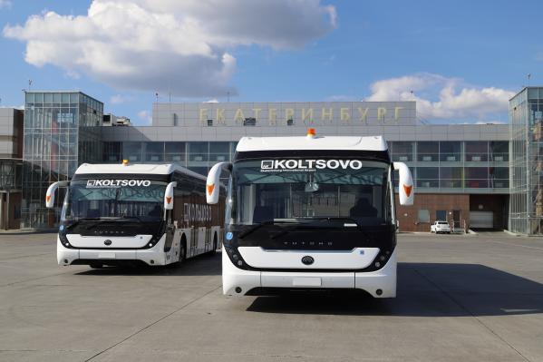 В Кольцово купили новые перронные автобусы с кондиционерами - Фото 2