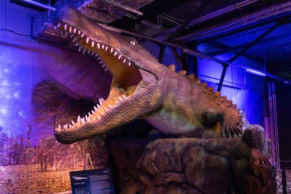 В Екатеринбурге откроется интерактивная выставка «Динозавры морских глубин, аудиогидом по которой будет Николай Дроздов - Фото 2