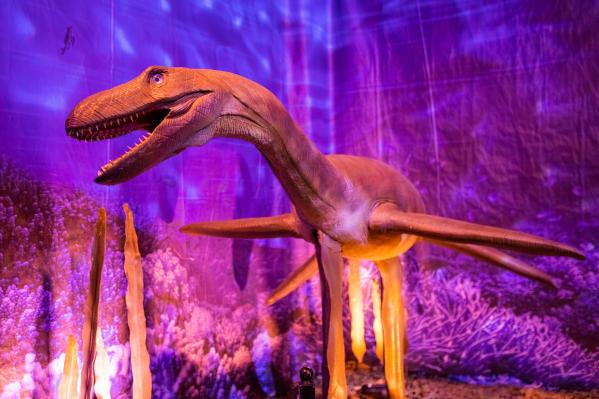 В Екатеринбурге откроется интерактивная выставка «Динозавры морских глубин, аудиогидом по которой будет Николай Дроздов - Фото 3