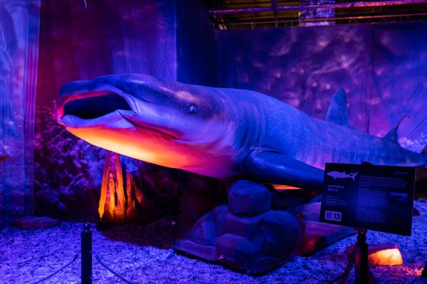 В Екатеринбурге откроется интерактивная выставка «Динозавры морских глубин, аудиогидом по которой будет Николай Дроздов - Фото 4