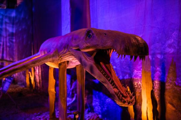 В Екатеринбурге откроется интерактивная выставка «Динозавры морских глубин, аудиогидом по которой будет Николай Дроздов - Фото 5