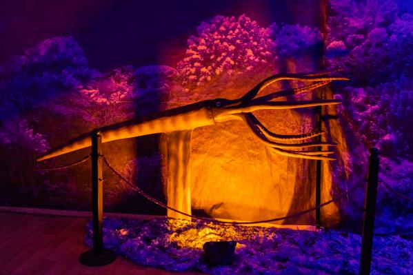 В Екатеринбурге откроется интерактивная выставка «Динозавры морских глубин, аудиогидом по которой будет Николай Дроздов - Фото 8