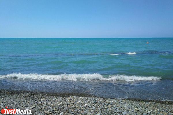 Почему акулы нападают на людей? - Фото 3