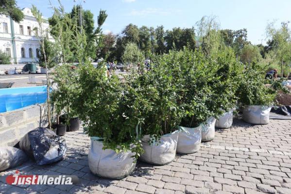 Ключевой цвет, «зеленые» новинки и высокие технологии. Рассказываем о главных фишках «Атмофеста» в этом году - Фото 7