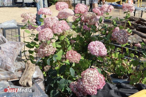 Ключевой цвет, «зеленые» новинки и высокие технологии. Рассказываем о главных фишках «Атмофеста» в этом году - Фото 8