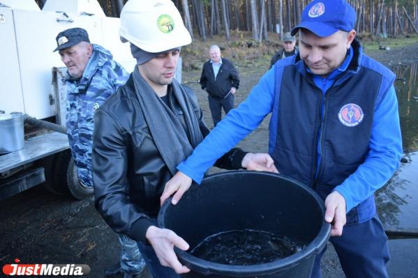В Верхне-Сысертский пруд выпустили 800 мальков сазана - Фото 2