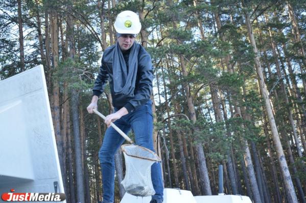 В Верхне-Сысертский пруд выпустили 800 мальков сазана - Фото 4