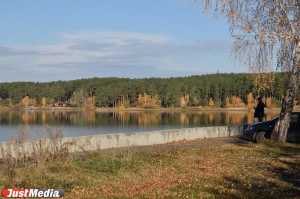 В Верхне-Сысертский пруд выпустили 800 мальков сазана - Фото 5